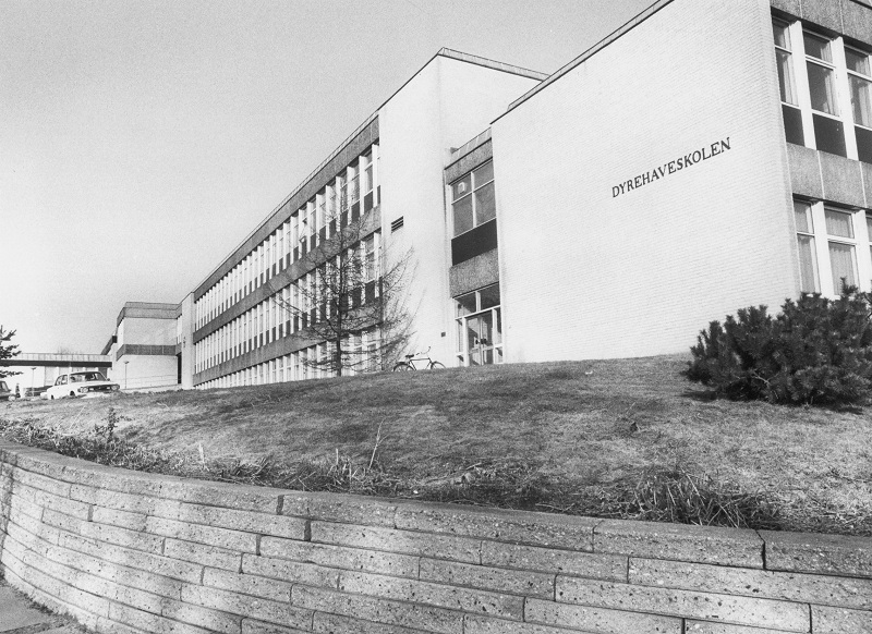 Fil:Dyrehaveskolen B17023.jpg