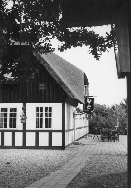 Fil:Den Gyldne Hane B18443.jpg