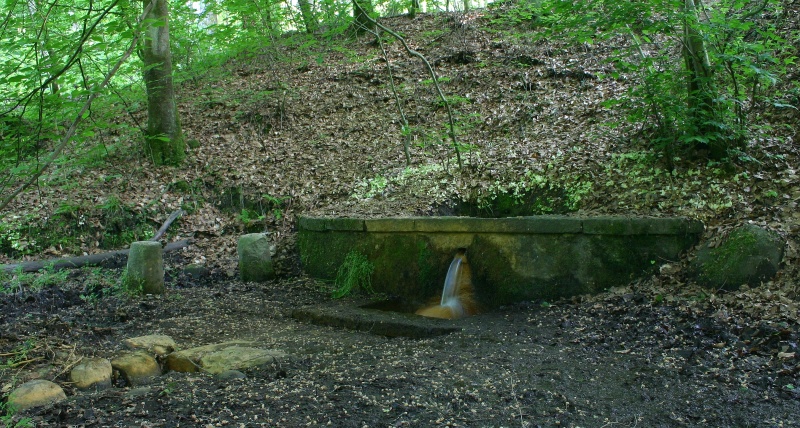 Fil:Marielundskilden 2009.jpg