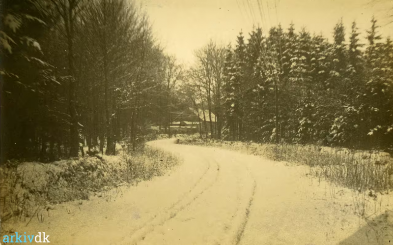 Fil:B36067 Bramdrupskovvej 1921.png