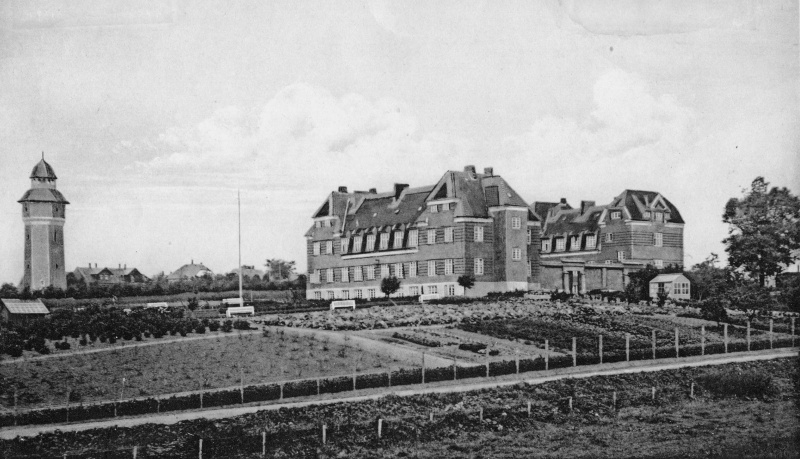 Fil:Månedensfoto april 2017 B3102.jpg