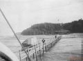 B33198 løveodde.jpg